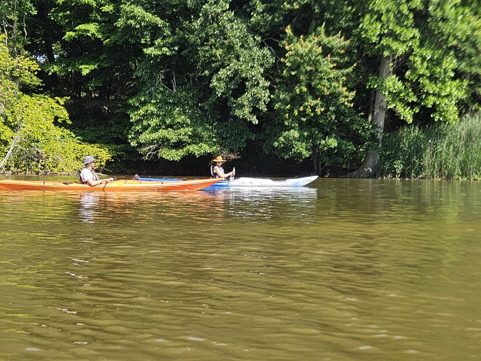 A scene from a CBMM paddle.