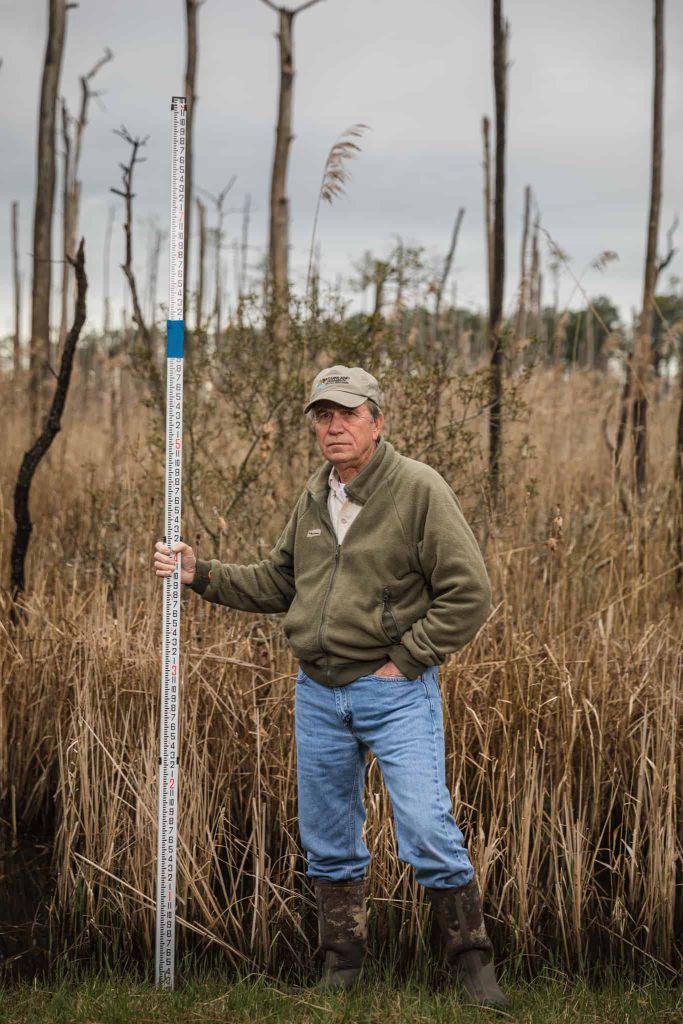 Department of Natural Resources Biologist Donald Webster stands alongside a “ghost forest” in Blackwater National Wildlife Refuge in Dorchester County holding measuring stick marking the level of potential sea level rise in 2100. Photograph by Michael O. Snyder. Works like these, showing the effects of climate change, will be on display at the Chesapeake Bay Maritime Museum beginning in September. Visit cbmm.org to learn more.