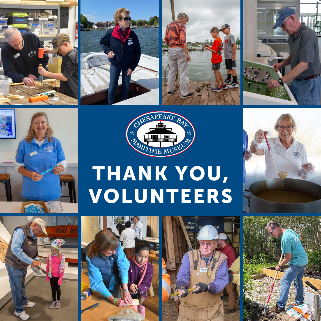 Thank you, Volunteers: CBMM celebrates National Volunteer Week 2024.