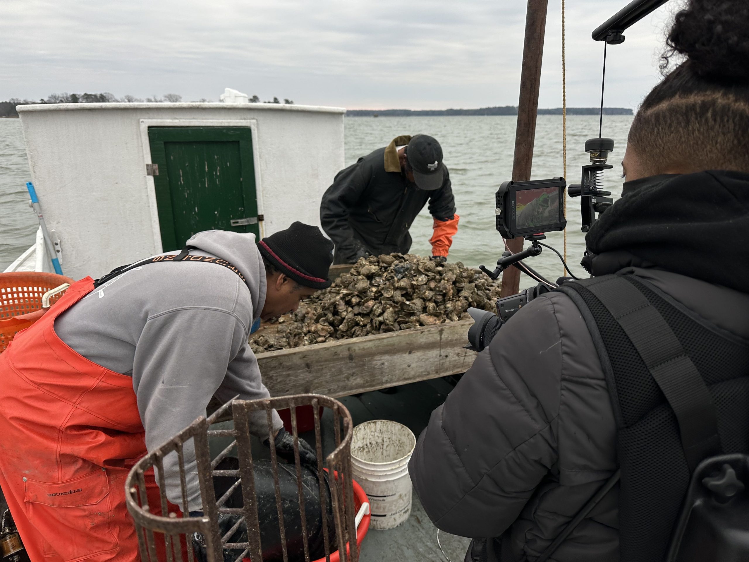 An MPT videographer captures oyster harvesting aboard Island Queen II.